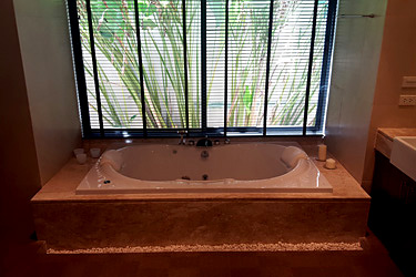 Master Bathroom with Garden View